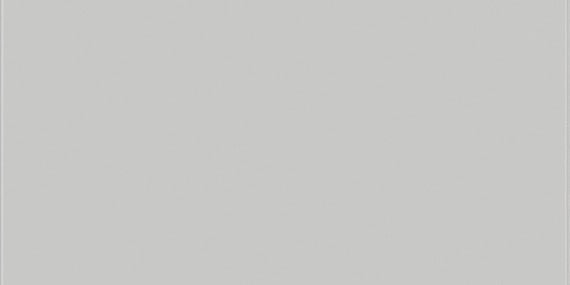 Daltile Vitruvian 4" X 12" Grey Matte
