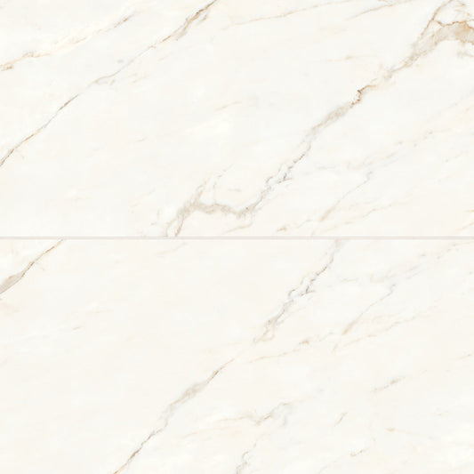 Bedrosians Magnifica 24" x 48" Honed Calacatta Oro
