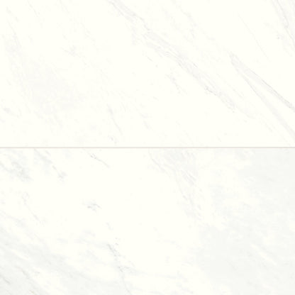 Bedrosians Magnifica 24" x 48" Honed Luxe White