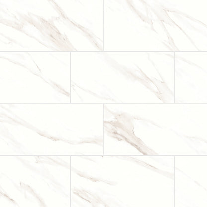 Bedrosians Shandar 12" X 24" Matte Statuario