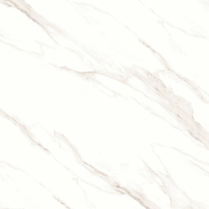 Bedrosians Shandar 48" X 48" Matte Statuario