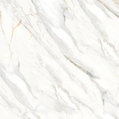 Bedrosians Shandar 48" X 48" Matte Arezzo Bianco
