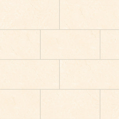 Bedrosians Shandar 12" X 24" Polished Crema Marfil Light