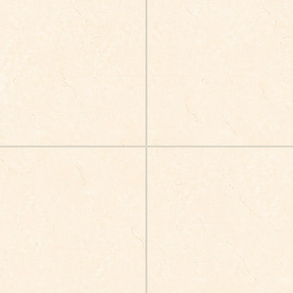 Bedrosians Shandar 24" X 24" Polished Crema Marfil Light