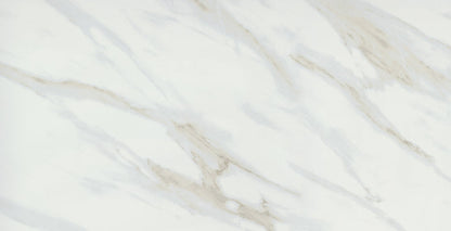 Emser Vara 24"x47" Matte Ribia