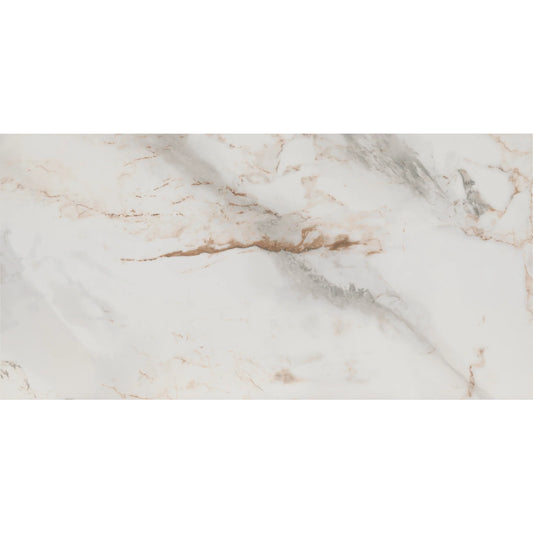 Tile Shop I Pisa 24x48 Polished Oro