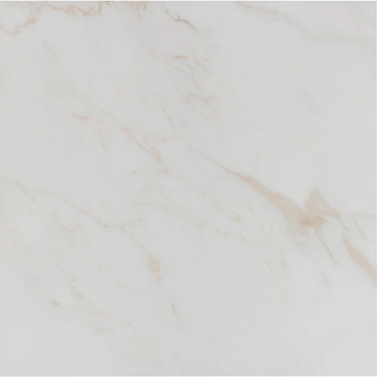 Tile Shop I Tresana 24x24 Matte White