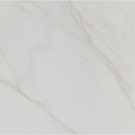 Tile Shop I Tresana 24x24 Polished White
