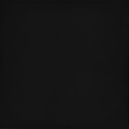 Emser Times Square 24"x24" Polished Black