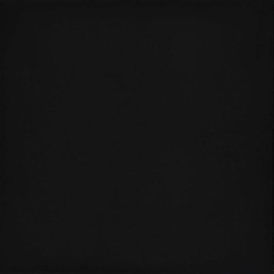 Emser Times Square 24"x24" Polished Black