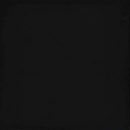 Emser Times Square 24"x24" Matte Black