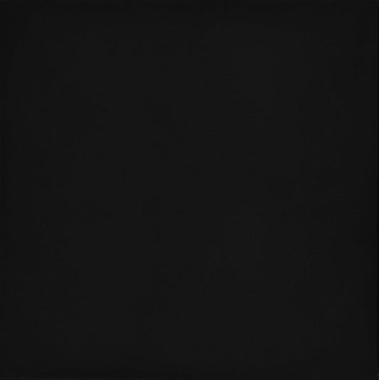 Emser Times Square 24"x24" Matte Black