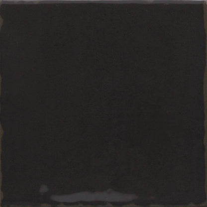 Emser Antigo 5"x5" Polished Jet