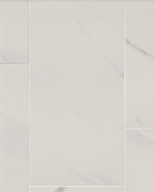 Tile Shop I Lenci 12x24 Matte