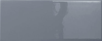 Emser Catch 4"x10" Polished Silicon Glossy