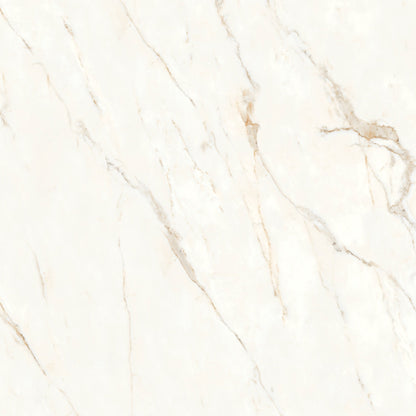 Bedrosians Magnifica Nineteen Forty-Eight 48" x 48" Honed Calacatta Oro