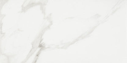 Daltile Artsy 12" X 24" Polished Studio Carrara