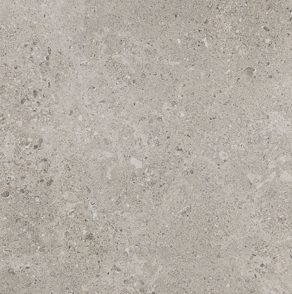 Daltile Dignitary 24" X 24" Matte Superior Taupe