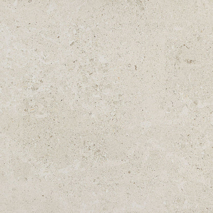 Daltile Dignitary 24" X 24" Matte Luminary White