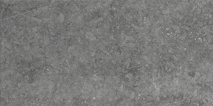 Daltile Diplomacy 20" X 40" Xterior Paver Light Grey