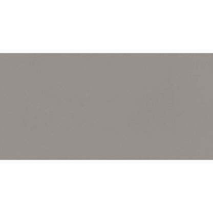 Daltile Flat 12" X 24" Steel