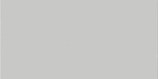 Daltile Vitruvian 4" X 12"  Grey Matte