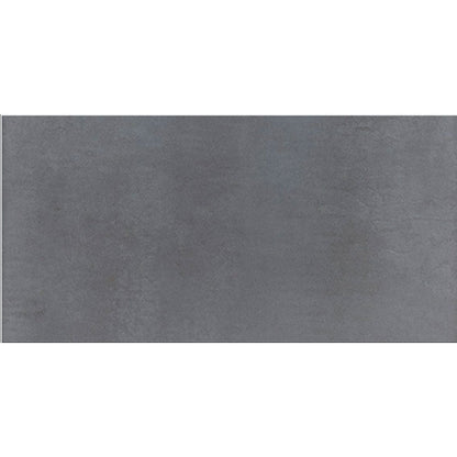 Daltile Cohesion 12" X 24" Polished Dark Grey