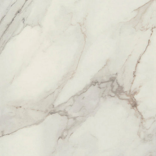 Daltile Famed 24" X 24" Polished Diamond