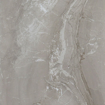 Daltile Famed 24" X 24" Polished Fortune