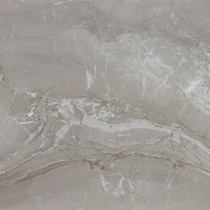 Daltile Famed 24" X 24" Matte Fortune