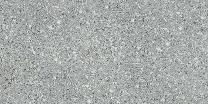 Emser Fragmento SM 12"x24" Matte Silver Small Speckle