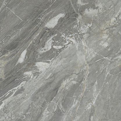 Daltile Famed 24" X 24" Polished Glamour