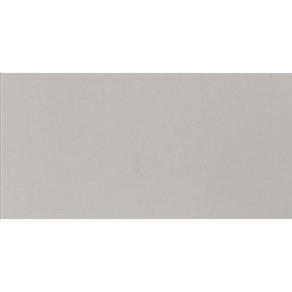 Daltile Median 12" X 24" Polished Light Gray