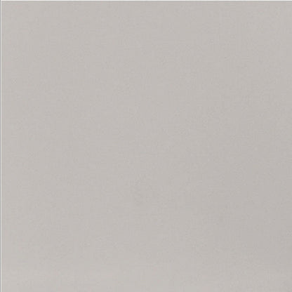 Daltile Median 24" X 24" Polished Light Gray