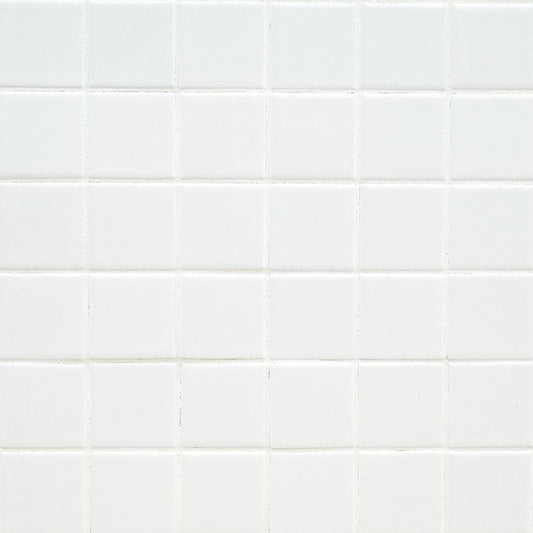 MS International Domino 12" x 12" Matte 6mm 2" x 2" White
