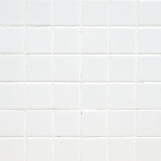 MS International Domino 12" x 12" Matte 9.6mm 2" x 2" White