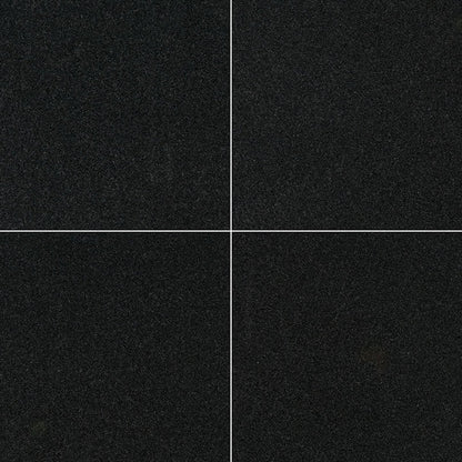 MS International Natural Stone Granite 24" x 24" Polished Premium Black
