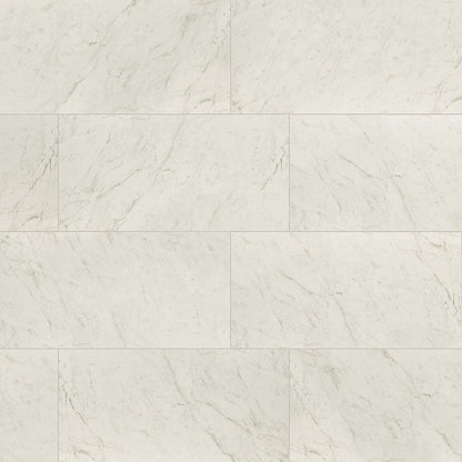 MS International Kaya 12" x 24" Polished Carrara Bianco