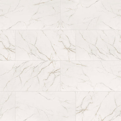 MS International Kaya 12" x 24" Polished Calacatta Lucca
