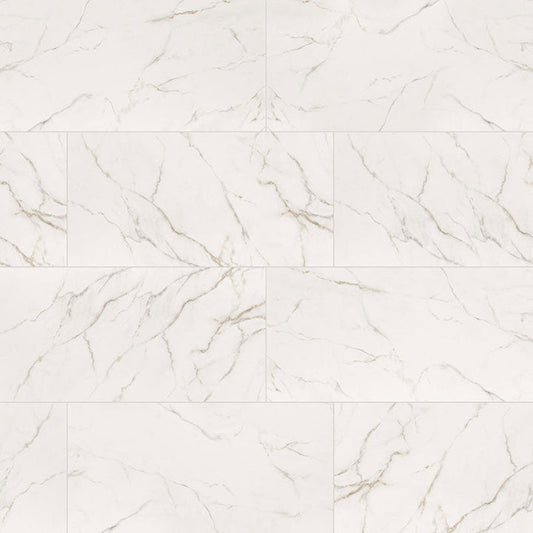 MS International Kaya 24" x 48" Polished Calacatta Lucca