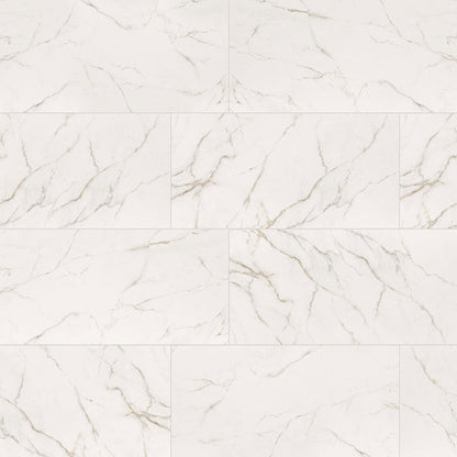 MS International Kaya 24" x 48" Matte Calacatta Lucca