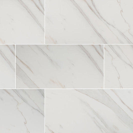 MS International Pietra 12" x 24" Polished Calacatta