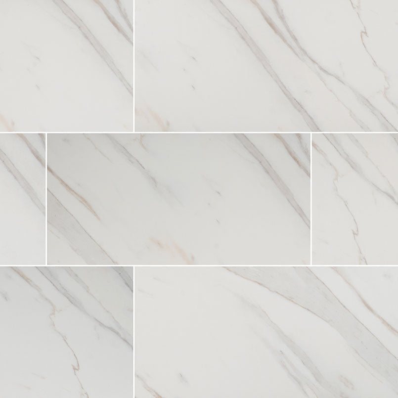 MS International Pietra 12" x 24" Matte Calacatta