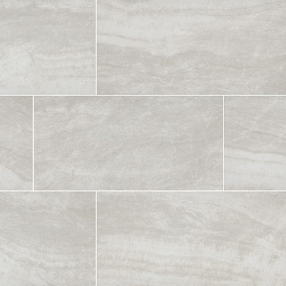 MS International Praia 24" x 48" Polished 9.6mm Grey