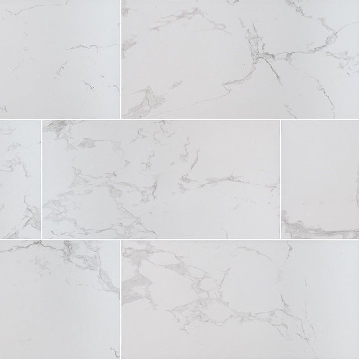 MS International Praia 12" x 24" Polished 8.8mm Carrara