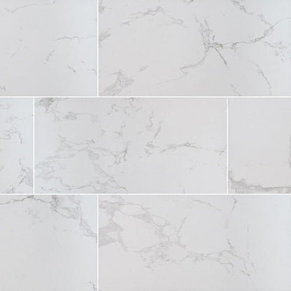 MS International Praia 12" x 24" Polished 8.8mm Carrara