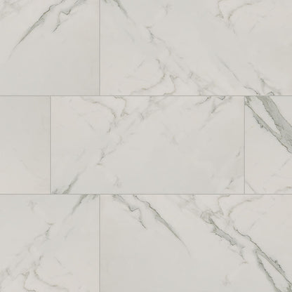 MS International Regallo 12" x 24" Matte Calacatta Isla