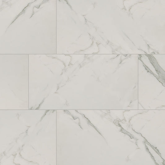MS International Regallo 12" x 24" Matte Calacatta Isla