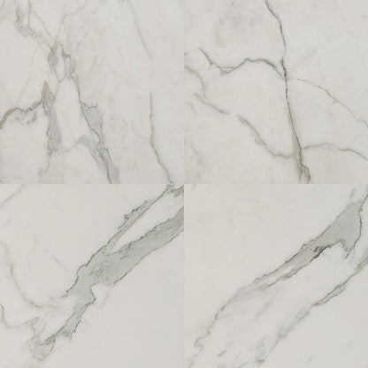 MS International Regallo 24" x 24" Polished Calacatta Isla