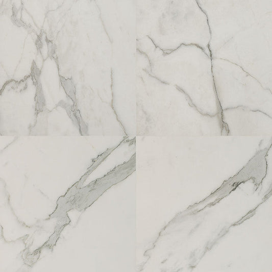 MS International Regallo 24" x 24" Polished Calacatta Isla